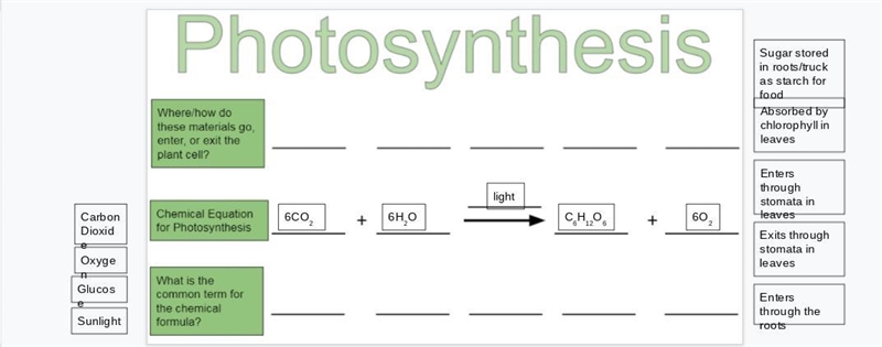 PHOTOSYNTHESIS EQUATION (HELP!!!) answer the blank-example-1