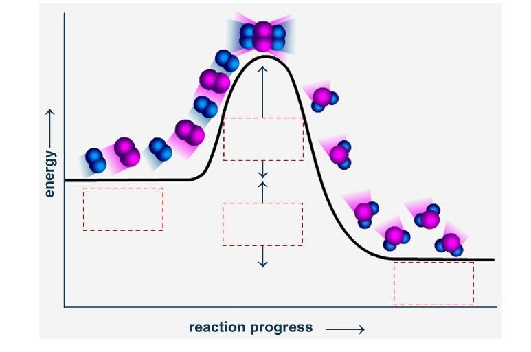 Drag each label to the correct location on the image. Identify the four parts of the-example-1