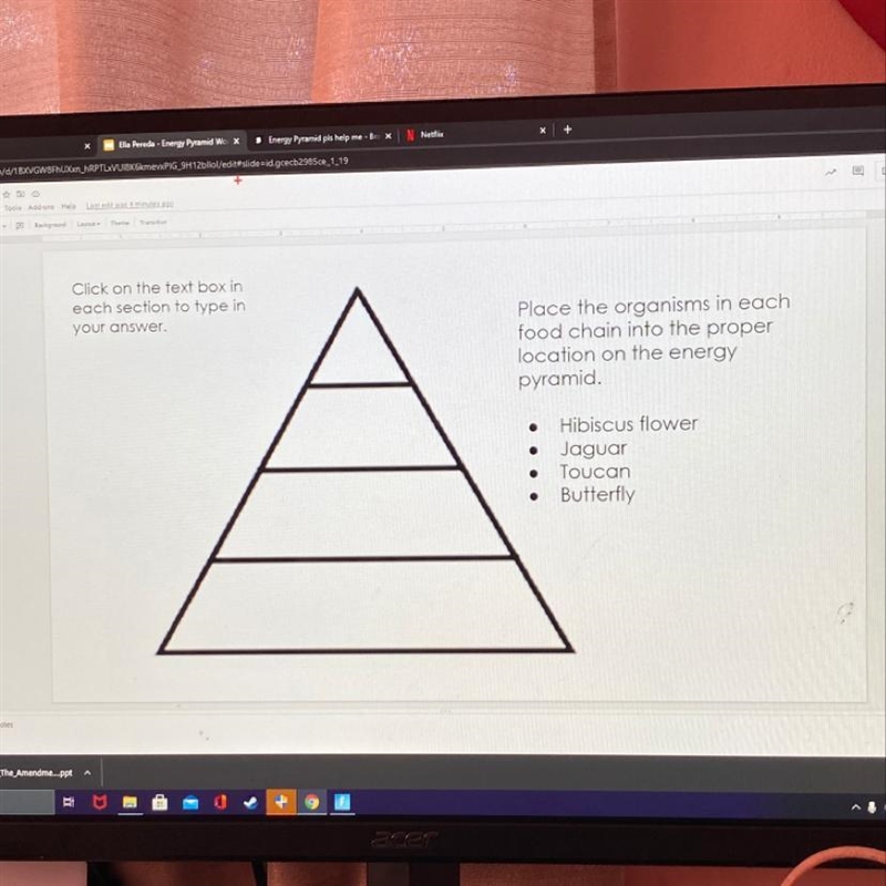 Energy pyramid worksheet Pls help-example-1