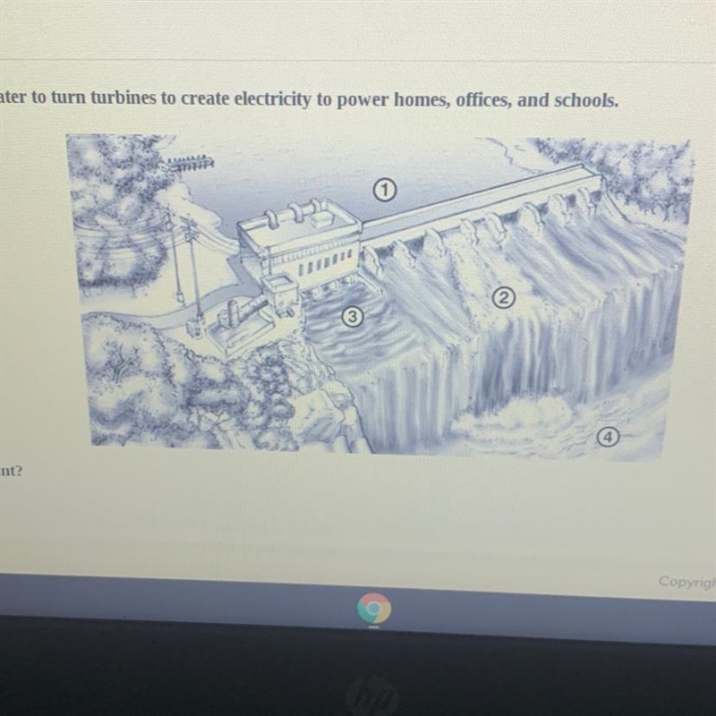 Where is the potential energy to run the plant? A 3 B 4 С 1 D 2-example-1