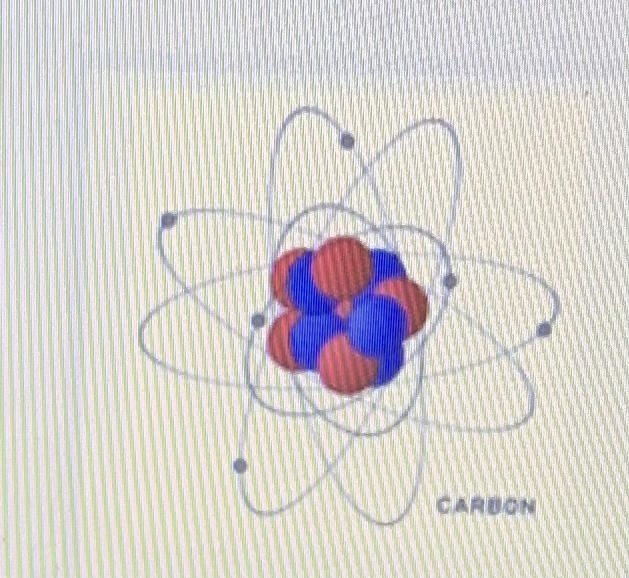 Which of these is about the same size and mass as a CARBON proton? A. electron B. neutron-example-1