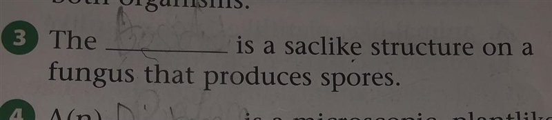 The blank is a saclike structure on a fungus that produces spores please help NOW-example-1