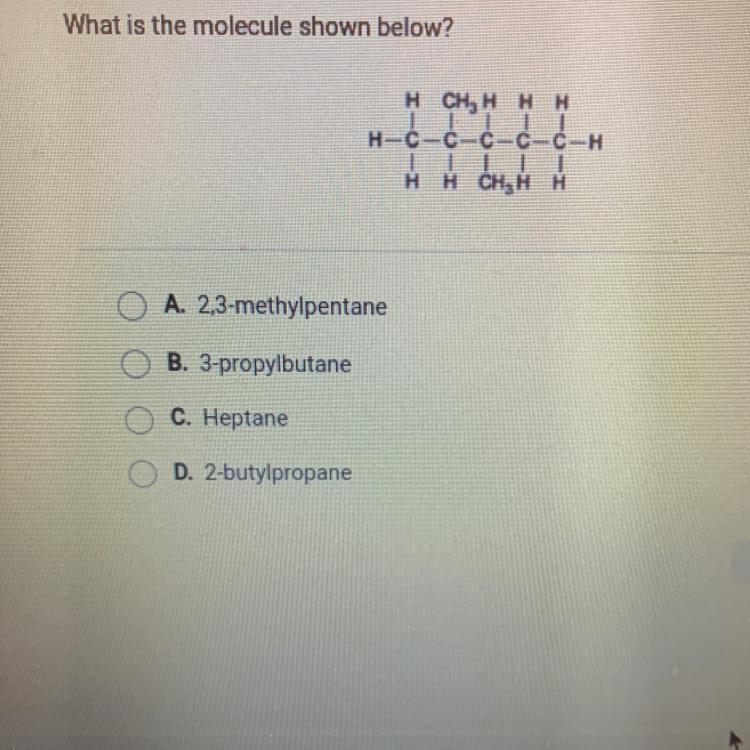 What is the molecule shown below? A. 2,3-methylpentane B. 3-propylbutane C. Heptane-example-1