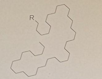 The structure shown is an example of what kind of molecule? A) Ether B) Alkene C) Polymer-example-1