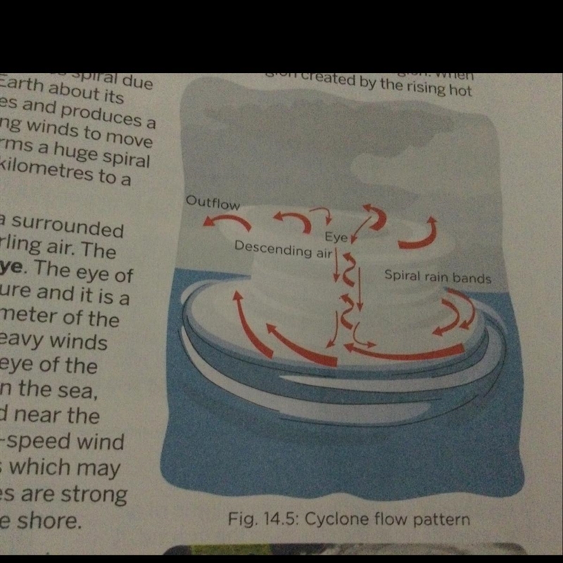 Study the diagram. What is forming in the diagram? a front a hurricane a thunderstorm-example-1