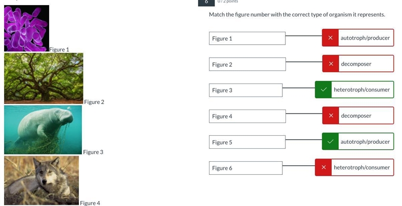 Help asap please help no links-example-3