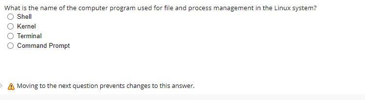 What is the name of the computer program used for file and process management in the-example-1