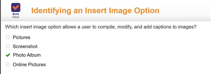 Which insert image option allows a user to compile, modify, and add captions to images-example-1