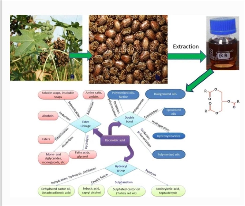 A pump must be able to deliver 34 L/s of crude castor oil at 25°C ρ = 0.934 g/mL and-example-1