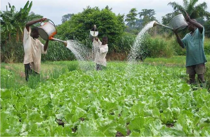 A farmer is watering the field.​-example-1