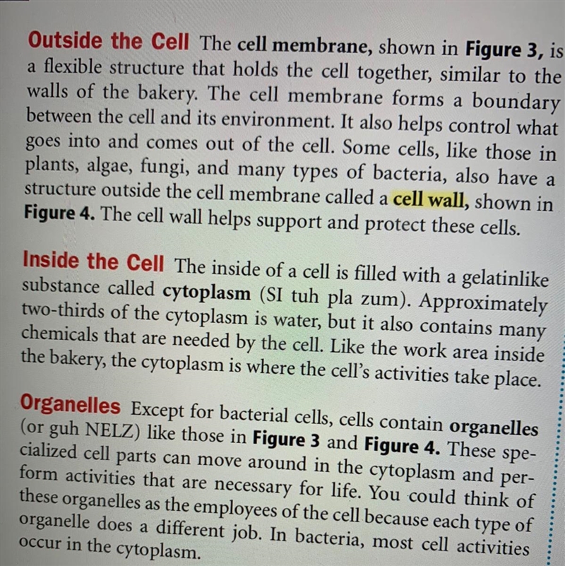 Read this and answer the question Describe the purpose of a cell membrane? -Get information-example-1