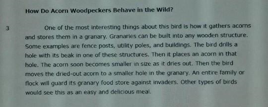 Which point does the author of "The Acorn Woodpecker"make? A.the acorn woodpecker-example-1