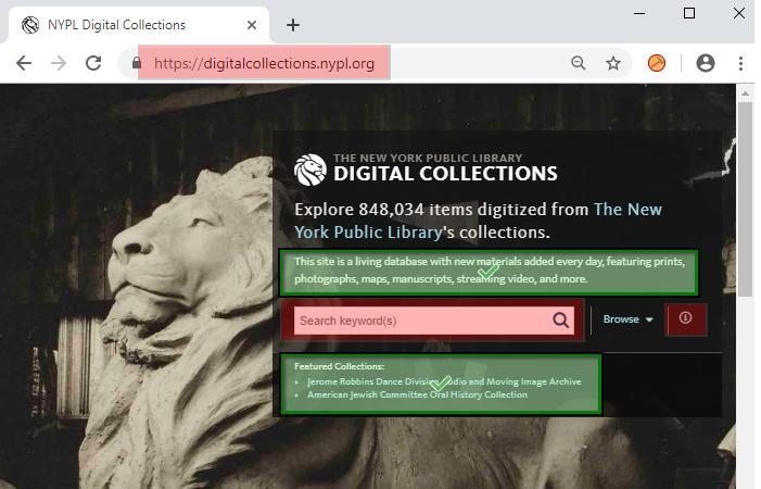 Select all the correct locations on the image. Examine the New York Public Library-example-1