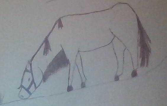 What do you think about my drawings? I've had dreams about this horse-example-2