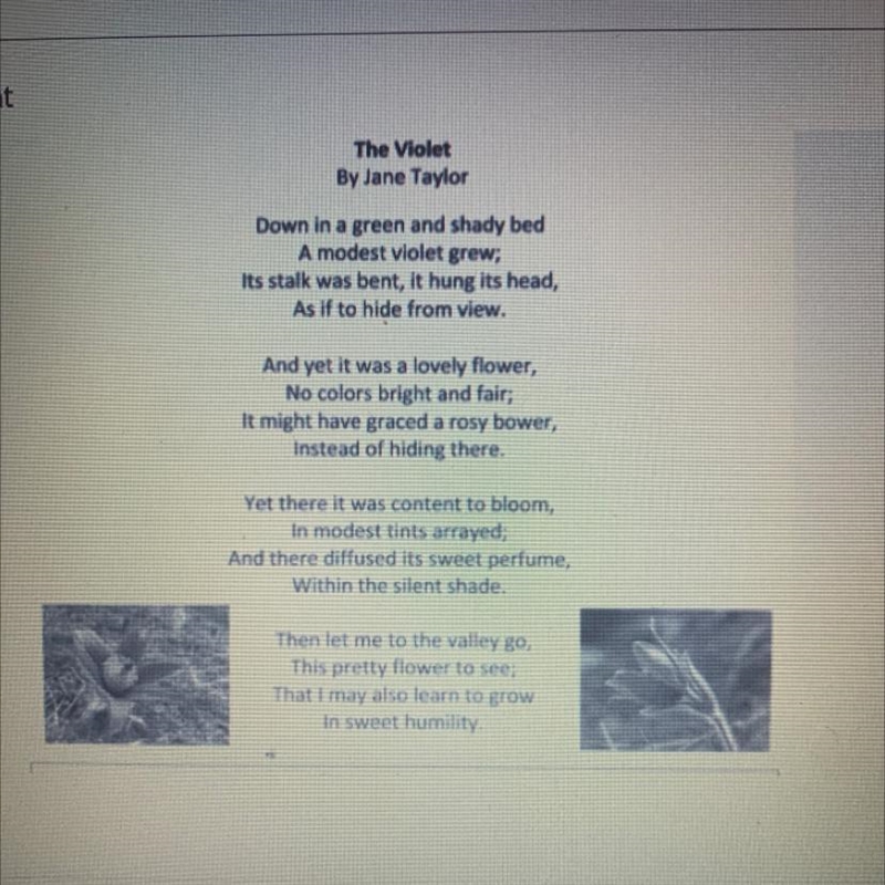 What is the rhyme pattern of each stanza of the poem? A. The second and third line-example-1