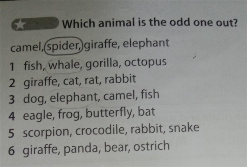 Which animal is the odd one out?​-example-1