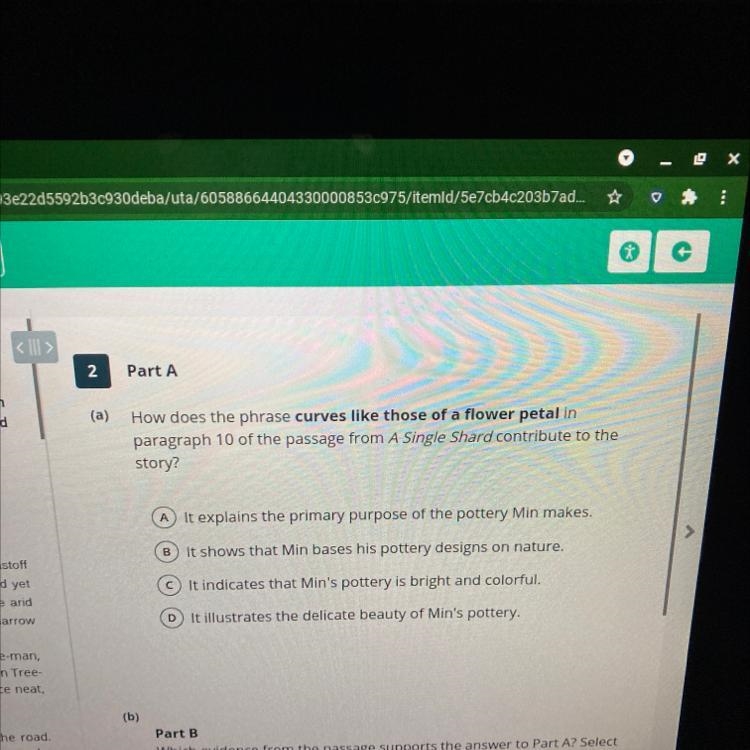 (a) How does the phrase curves like those of a flower petal in paragraph 10 of the-example-1