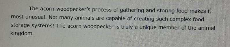 What is the meaning of the word invaders as it is used in this sentence? "An-example-1