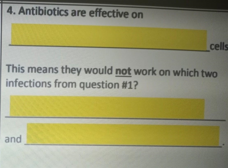 4. Antibiotics are effective on ________________ cells.​-example-1