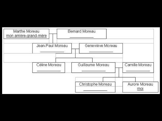 I NEED YOUR ASSISSTANCE!!!! Complete Aurore’s family tree by filling in the relationship-example-1