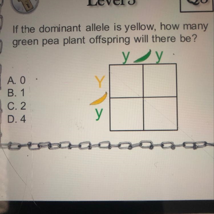 If the dominant allele is yellow, how many green pea plant offspring will there be-example-1