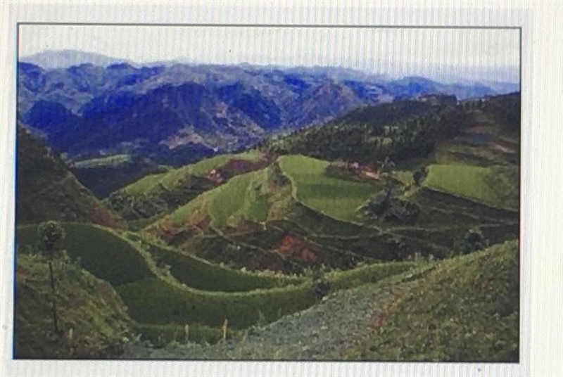 In agriculture, terraces like the ones shown in this photograph are used to grow crops-example-1