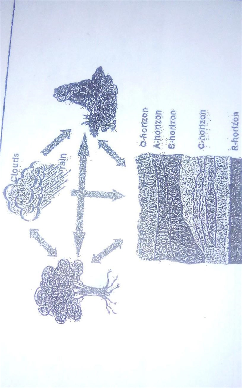 Name a passive soil forming factor ​-example-1