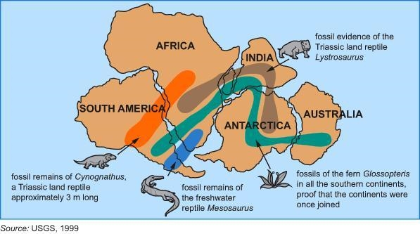 ANSWER CORRECTLY NO LINKS PLS HELP AND FAST BRAIN LIST BEST ANSWER!!!!!1 The map shows-example-1