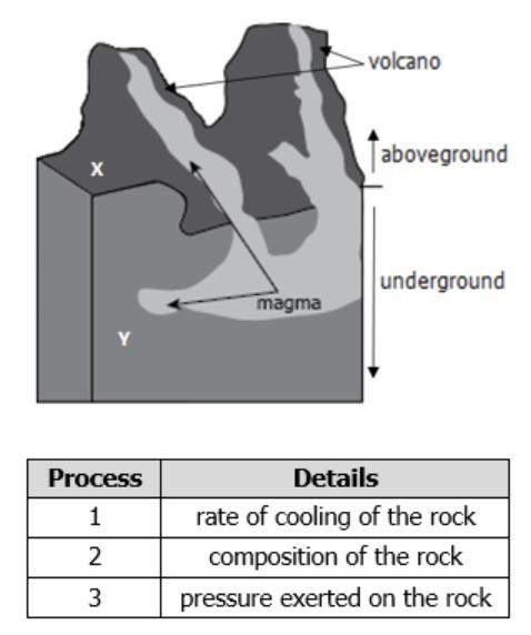 A student makes a cross-section clay model to represent the internal structure of-example-1