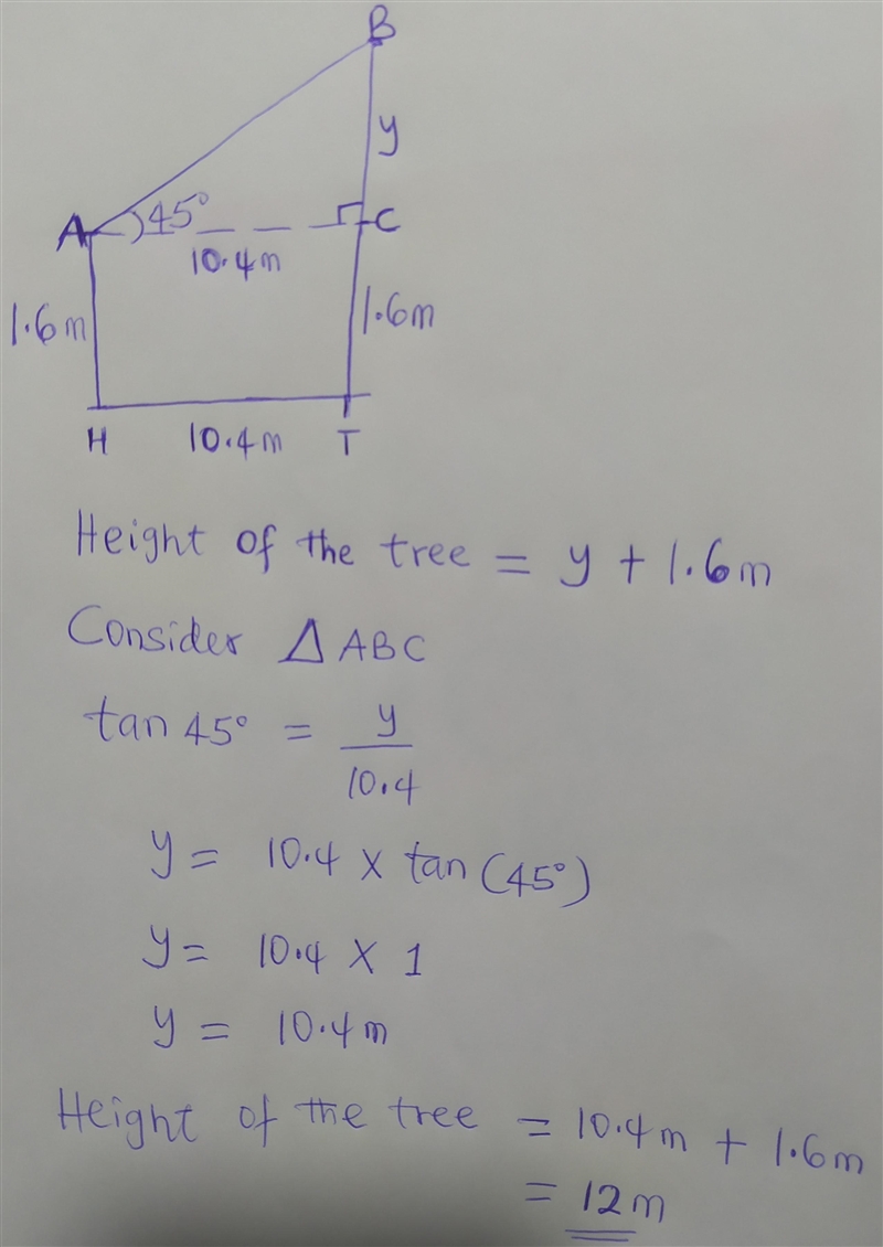 A hunter 1.6m tall, views a bird on top of a tree at anangle of 45°. If the distance-example-1