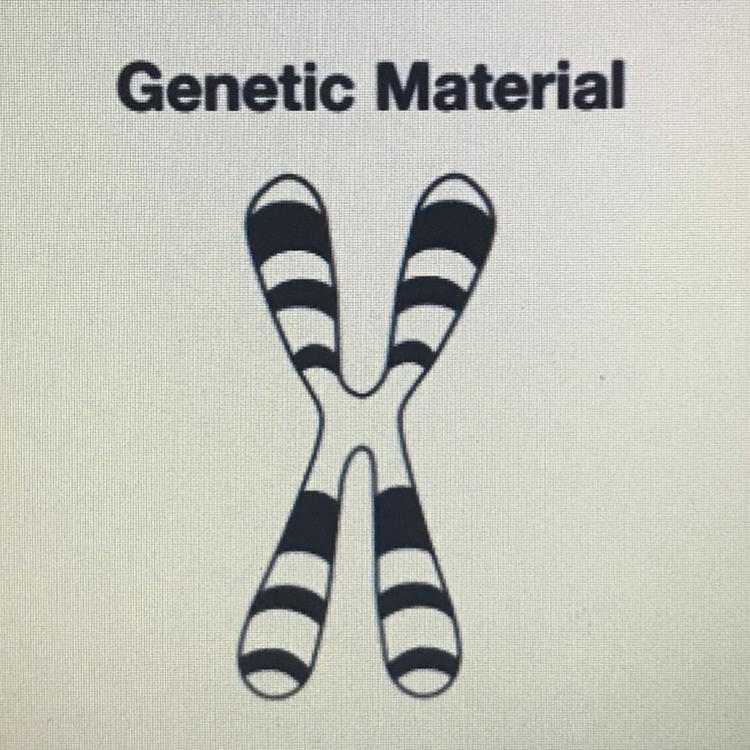 Use the image above to answer this question. Genes are composed of hereditary material-example-1