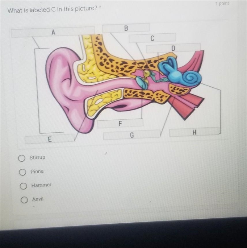 What is labeled C in this picture? ​-example-1