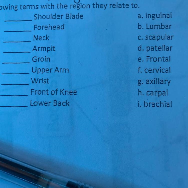 ANATOMY plz help asap-example-1