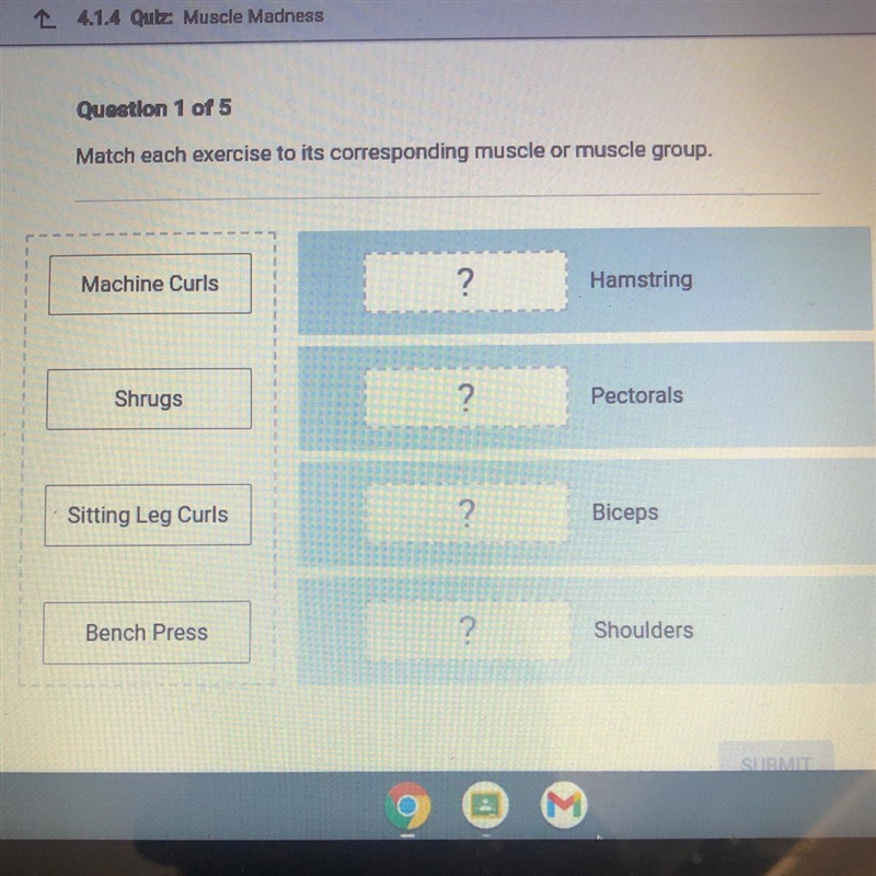 Match each exercise to its corresponding muscle or muscle group-example-1