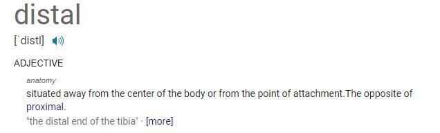 When correctly situated in anatomical position, where are your feet in relation to-example-1