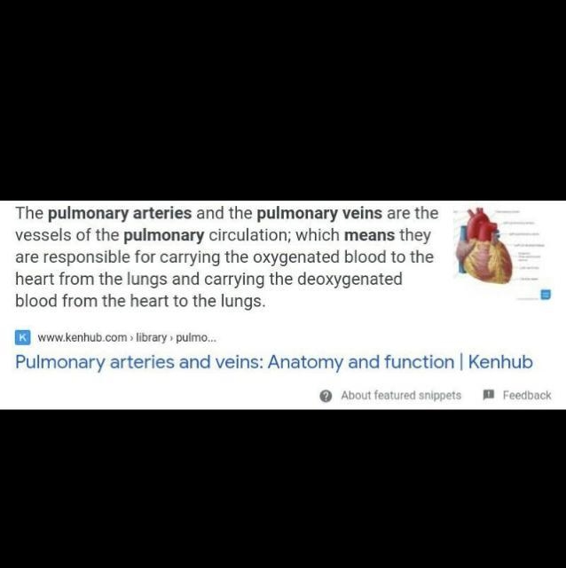 What is pulmonary artery and vein?​-example-1