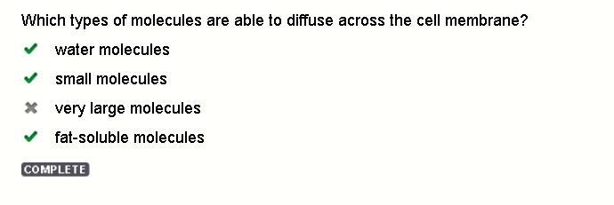 Which types of molecules are able to diffuse across the cell membrane? water molecules-example-1