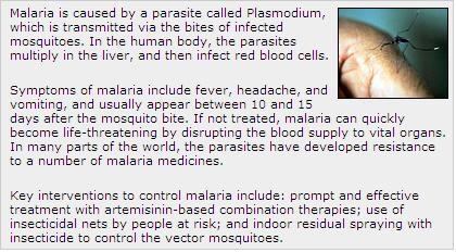 What is the main purpose of this article? a. To tell how many people die from malaria-example-1