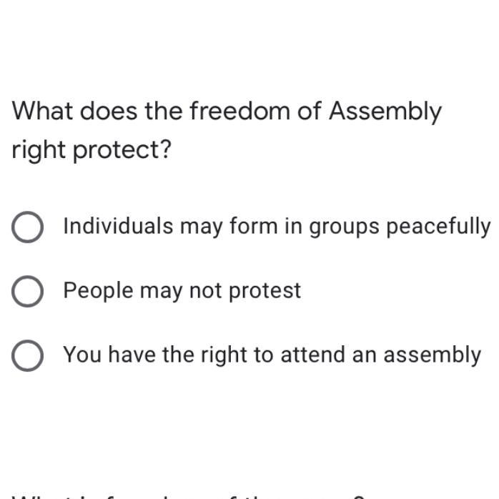 What does the freedom of assembly right protect?-example-1