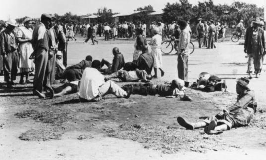 Resistance in South Africa in 1940 to 1960​-example-1