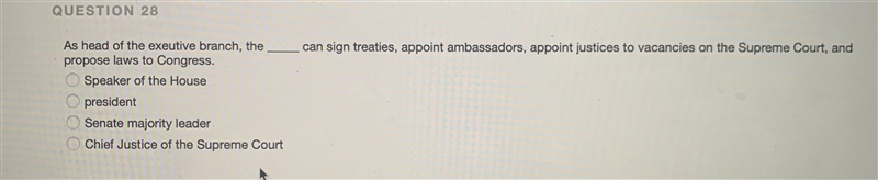 As head of the exeutive branch , the __ can sign treaties, appoint ambassadors, appoint-example-1