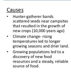 Reasons for neolithic Revolution​-example-1