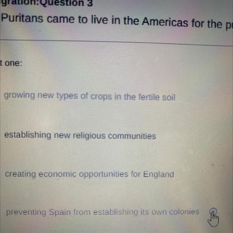 The Puritans came to live in the Americas for the purpose of--example-1