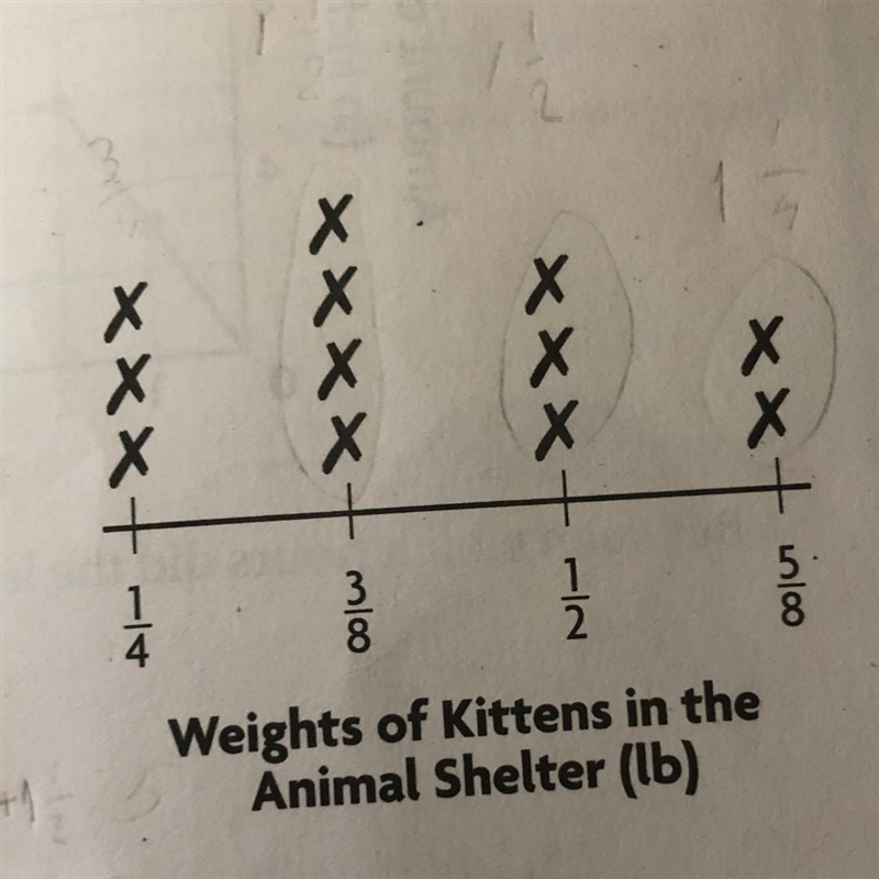 What is the average weight of the kittens in the shelter? Pls help-example-1