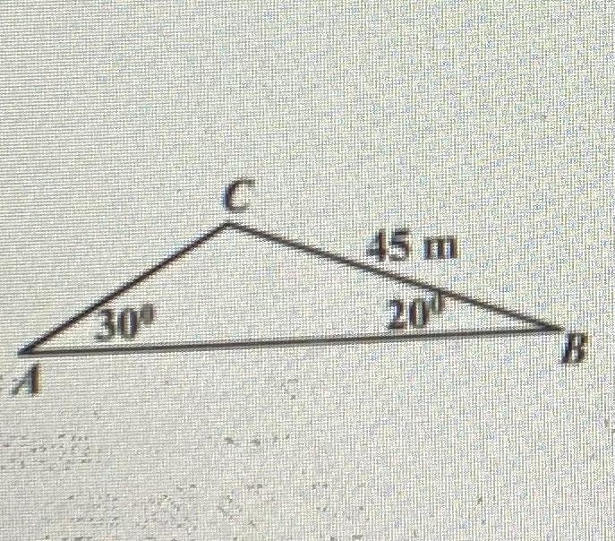 Use the Law of Sines to find the length of AC-example-1