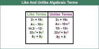 Match the like terms-example-1