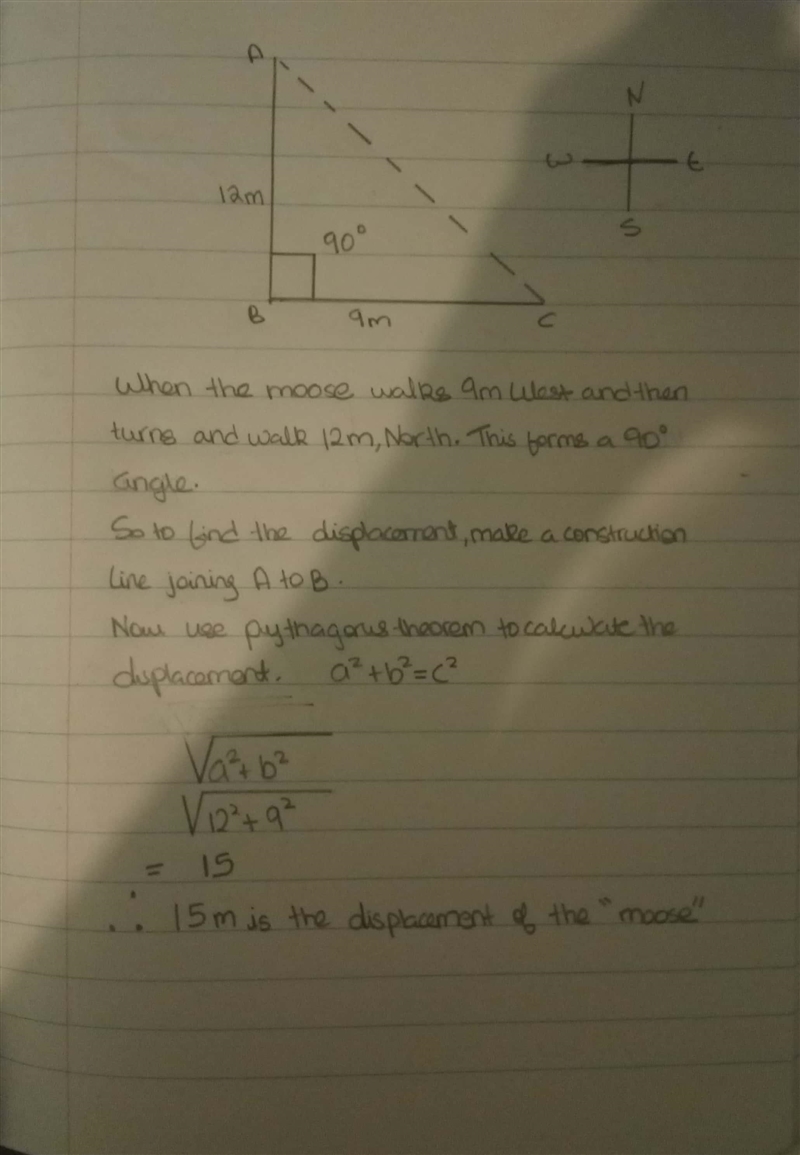 If a moose walks, 9 m, West and then turns and walks 12 m, North. What is the magnitude-example-1