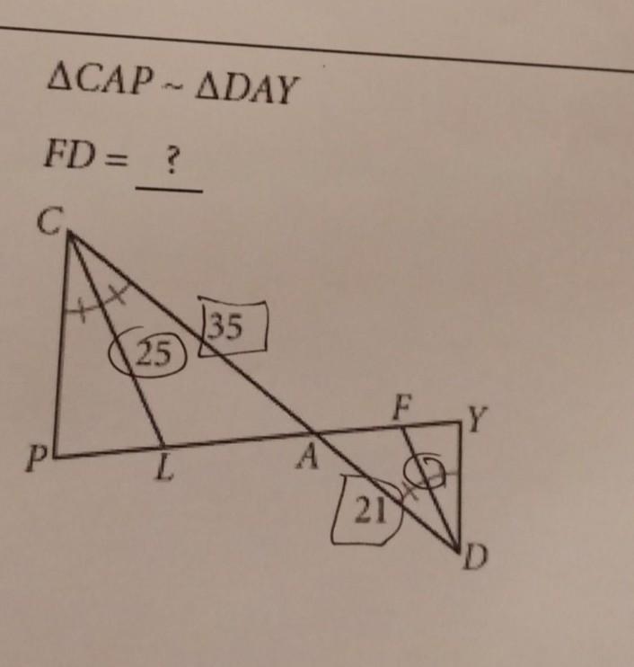 Find all the missing measurement​-example-1