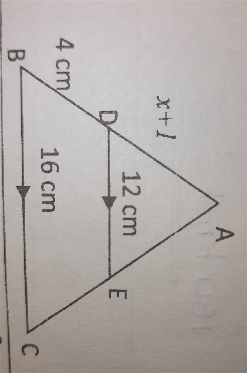 Find x step by step ​-example-1