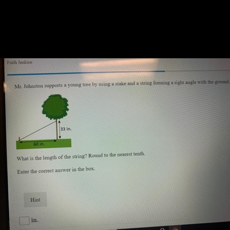 Mr. Johnston supports a young tree by using a stake and a string forming a right angle-example-1